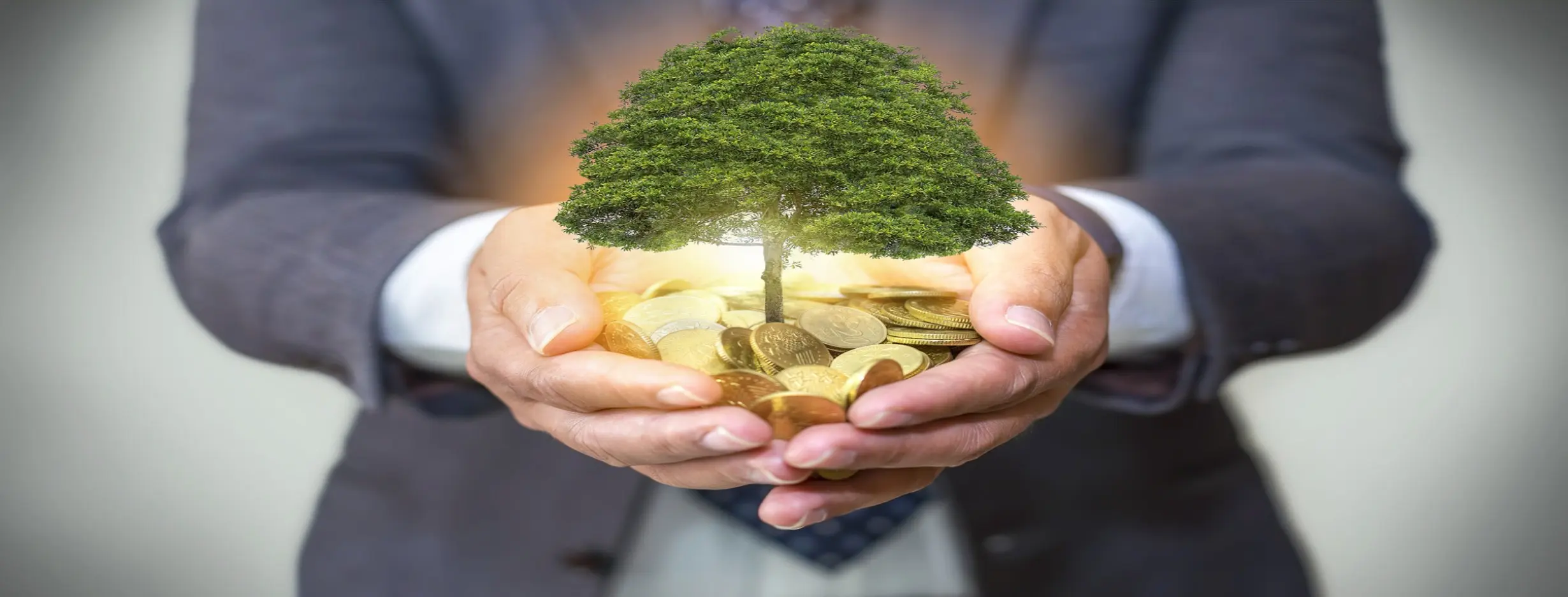 Image for Favorable Investment Environment